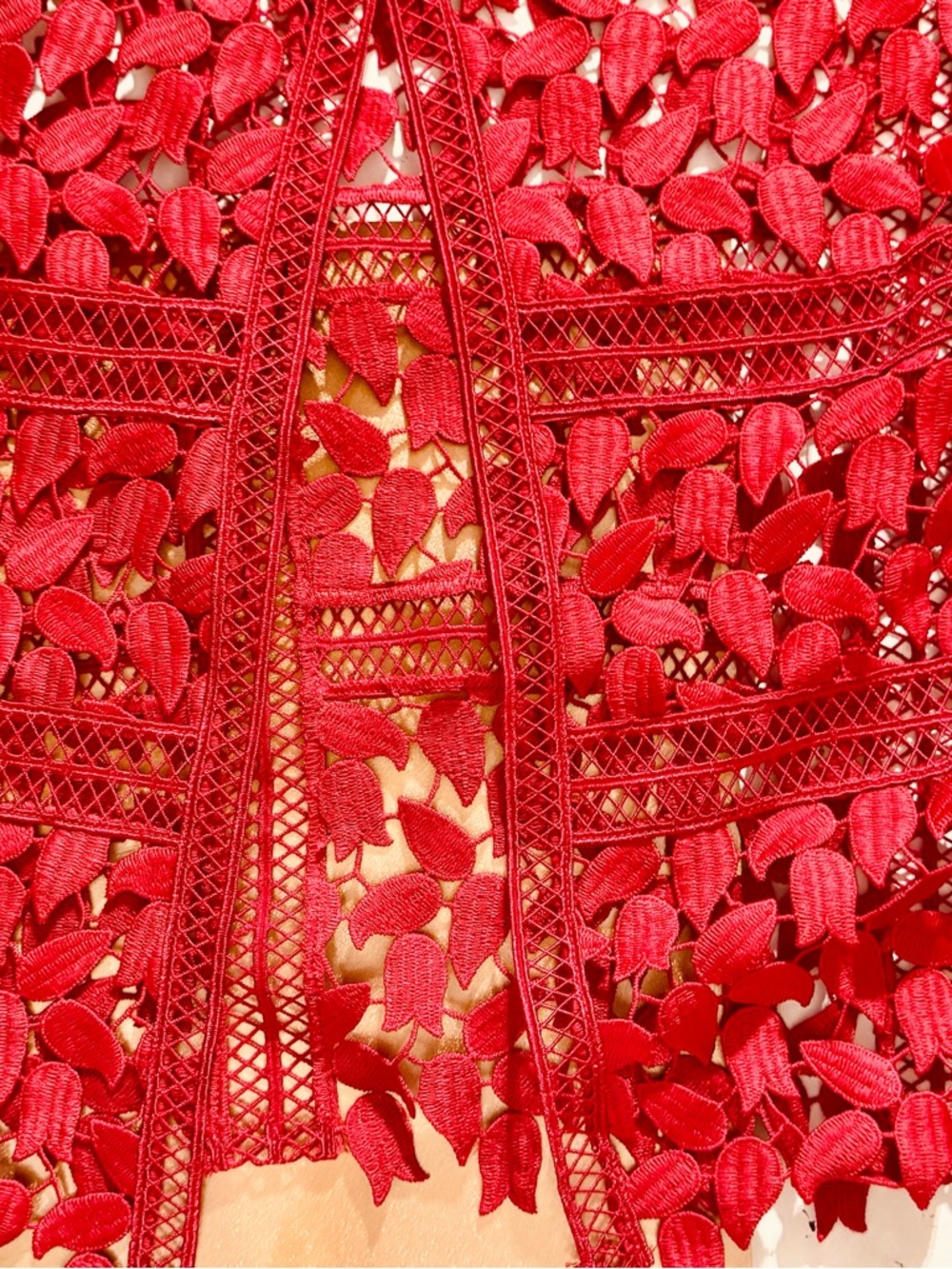 Self-Portrait Red Lace Slip Dress - Picture 15 of 15